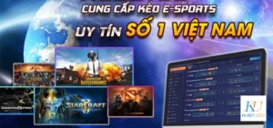 Giới thiệu cá cược Esports Kubet