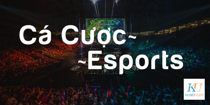 Các kèo Esports phổ biến nhất tại Kubet