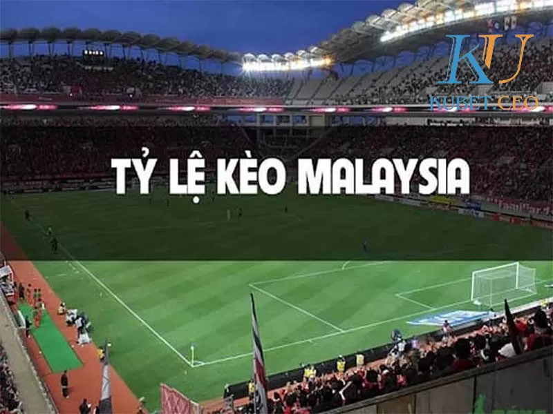 Cách chuyển đổi tỷ lệ kèo cược Malaysia chi tiết nhất